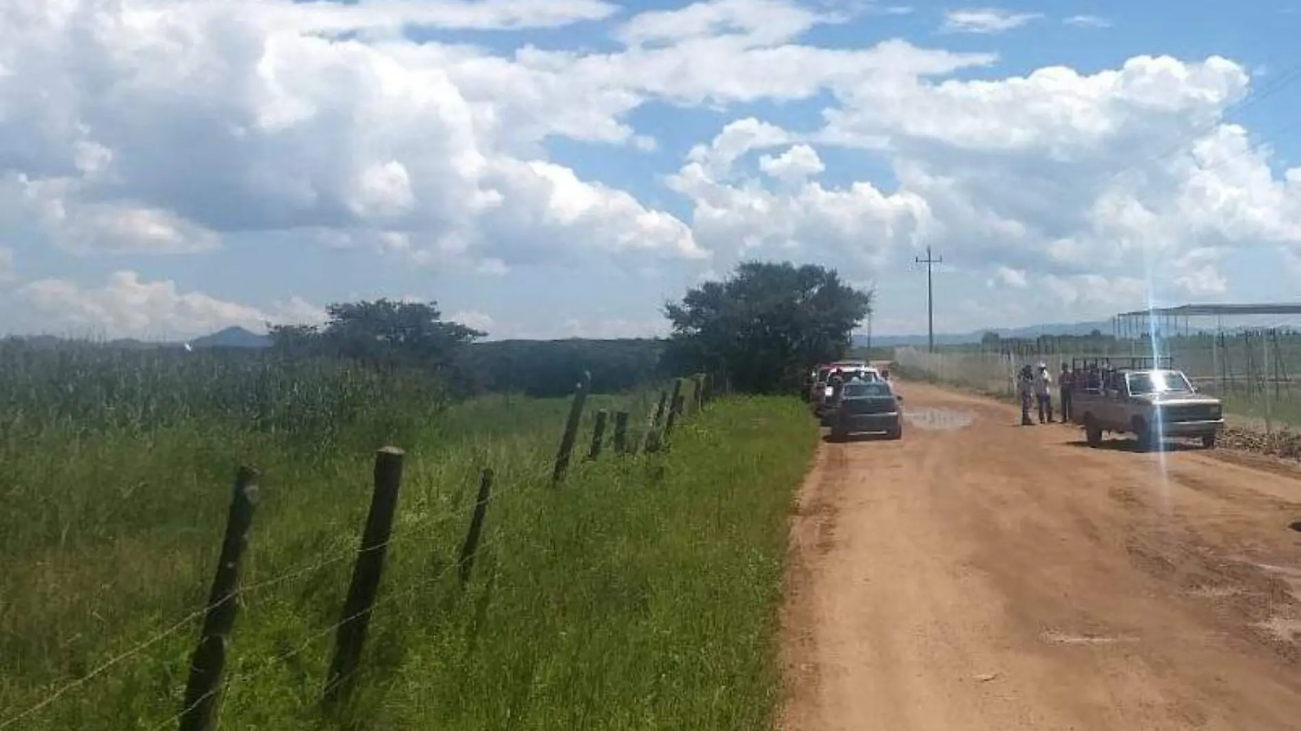 Muere hombre por picadura de abejas en Basuchil